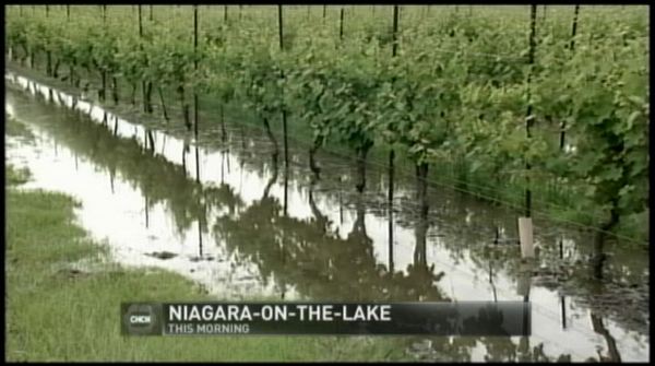 Flooded fields but growers need the water