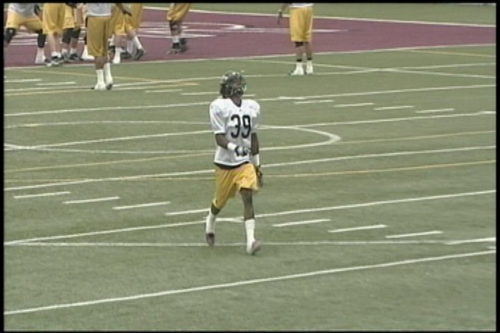 Hamilton Tiger-Cats back at practice