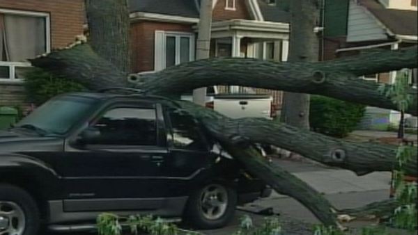 A large tree branch crushes the back of an SUV on Hamilton's Belmont Avenue; July 22, 2013