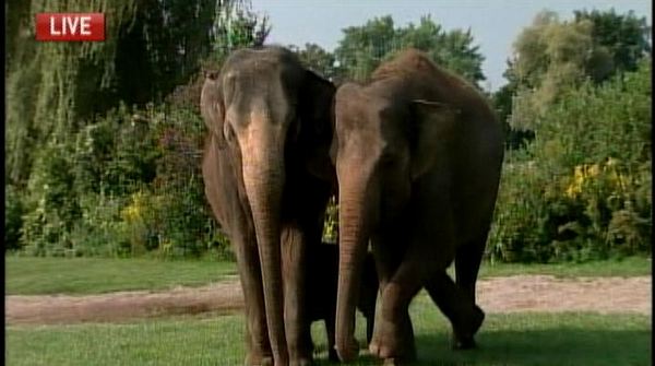 Lori visits African Lion Safari