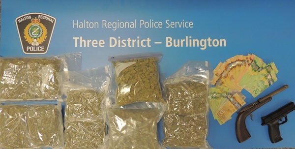 (Halton Police image)