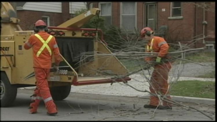 Ice storm clean up continues