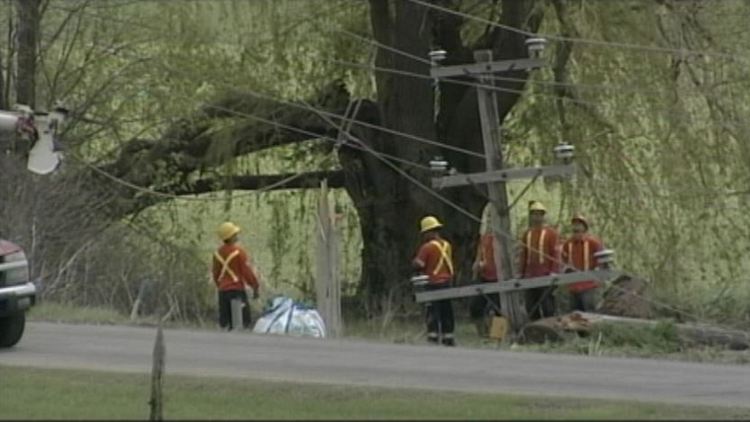 Storm downs hydro lines