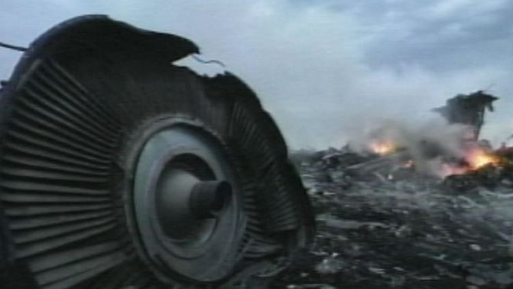 Burning wreckage of Malaysia Airlines MH17; Hrabove, Ukraine