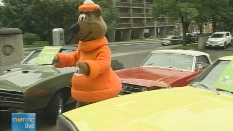 The A&W bear beside some classic cars; Morning Live, August 20, 2014