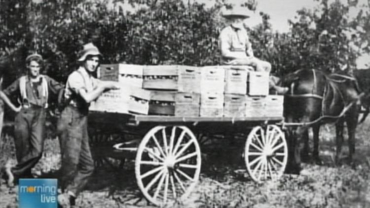 Archival image of Niagara farm workers