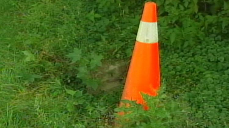 An orange cone marks the site of an old sinkhole
