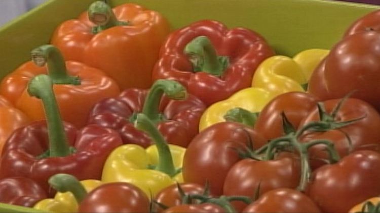 Bell peppers and tomatoes; Morning Live, November 7, 2014