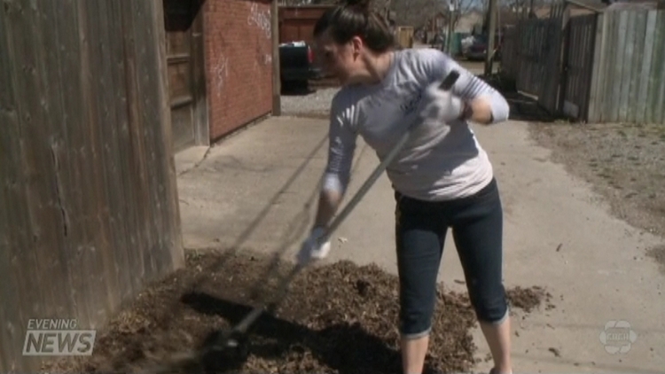 A volunteer cleans as part of the Beautiful Alleys project; Hamilton, April 18, 2015