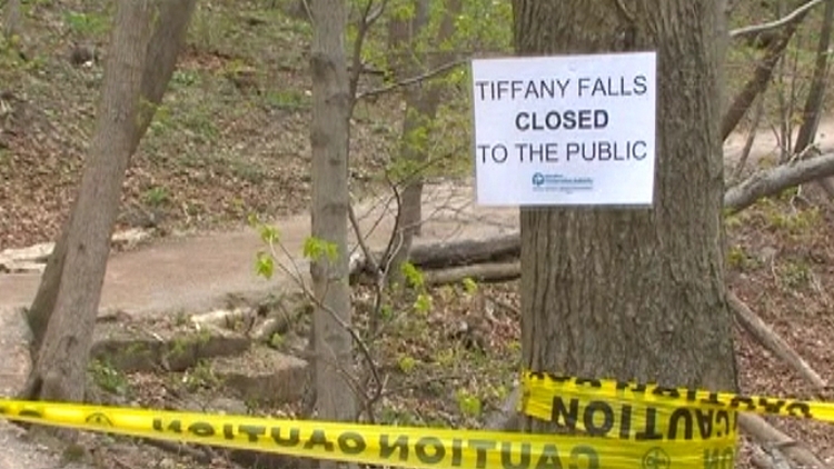 Woman killed by falling tree limb