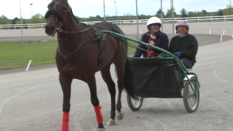 Two Of Clubs pulls Matt in the sulky; Flamboro Downs, May 13, 2015