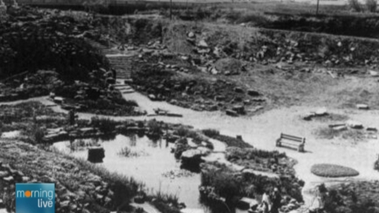 Archive image of rock garden at Royal Botanical Gardens