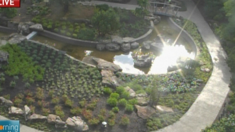 Overhead view of the rock garden at the Royal Botanical Gardens; Morning Live, July 2, 2015