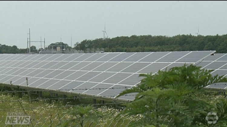 Hamilton solar project cancelled