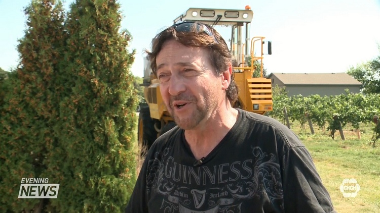 Peach grower-turned-Grape King Jamie Slingerland; Niagara-on-the-Lake, September 17, 2015