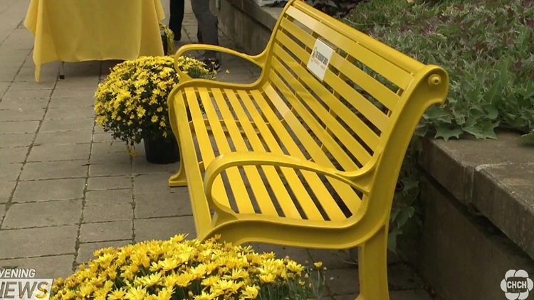 The friendship bench