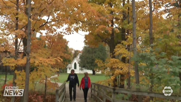 Dazzling fall colours