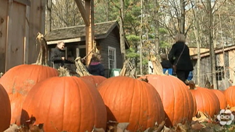 Pumpkin Sunday at Westfield Heritage Village