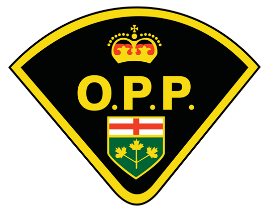 Two teens are in hospital after a single vehicle crash in Brant County.