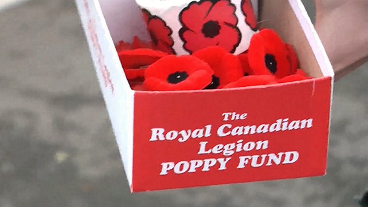 Someone has stolen a poppy donation box from the counter at Tim Horton's.