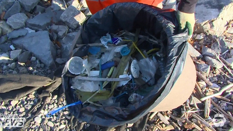 Waterfront clean-up under way