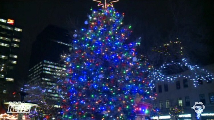 Tree of Hope comes alight