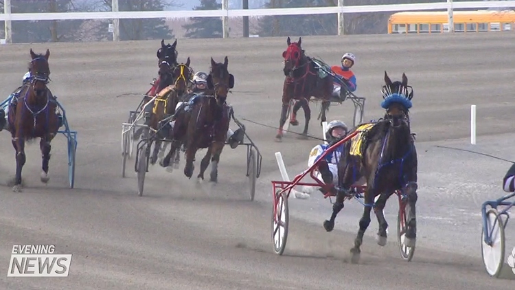 Flamboro Downs tribute to fallen horses