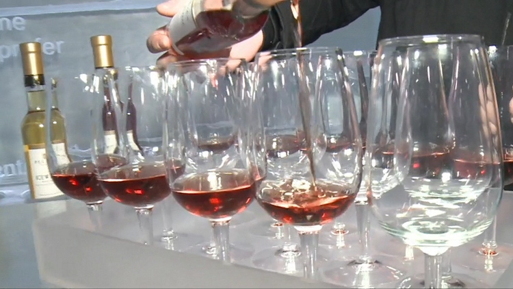 Niagara Ice Wine Festival