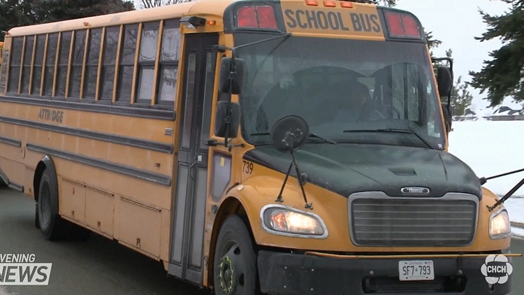 School bus stabbing