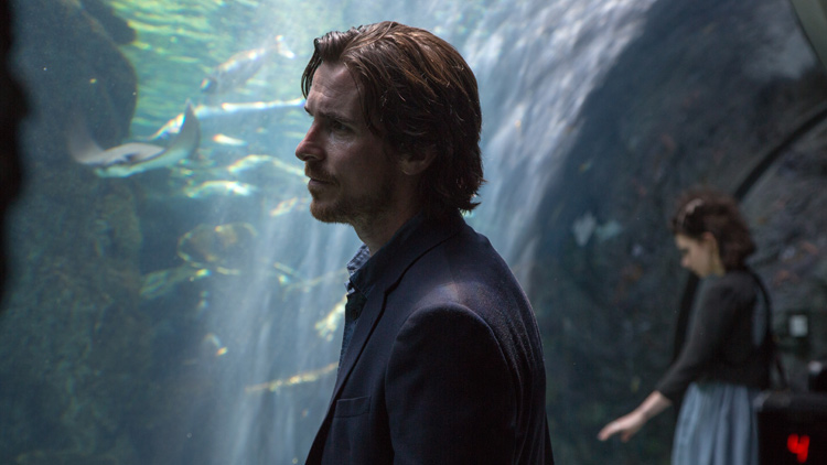 Knight of Cups