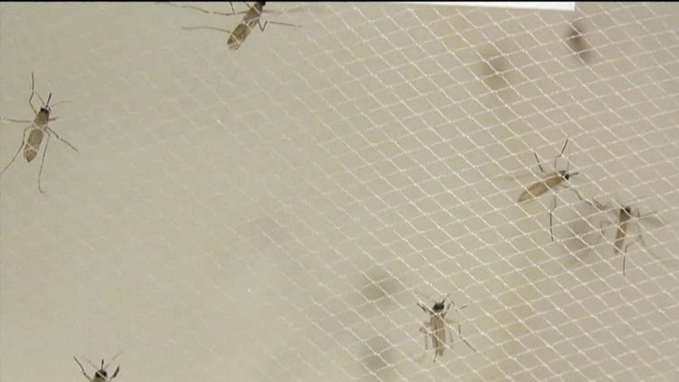 New Zika virus concerns