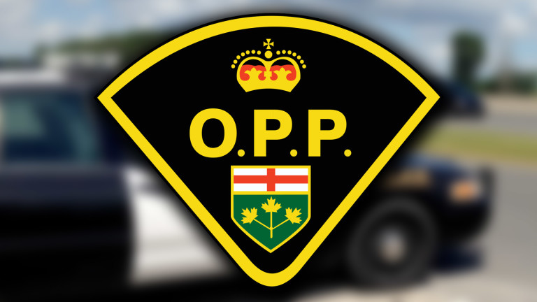 Snowmobiler killed in crash near Tillsonburg