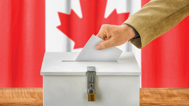 2019 Voting: What you need to Know