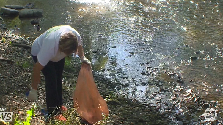 Shoreline clean-up