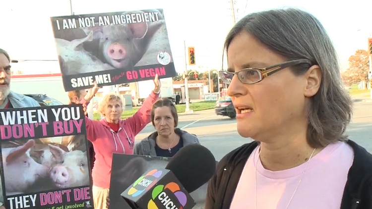 Animal rights activists angered over lack of compassion shown to pigs injured in Wednesday’s rollover