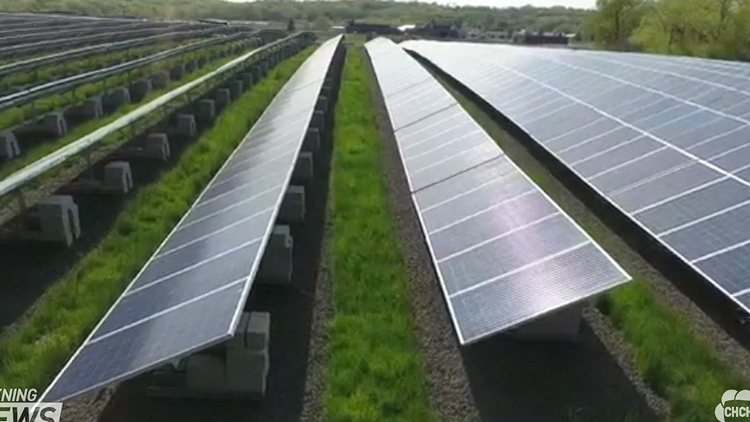 Solar energy at Hamilton landfill