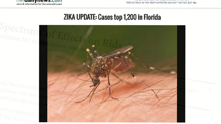 People planning winter vacations still need to worry about Zika virus