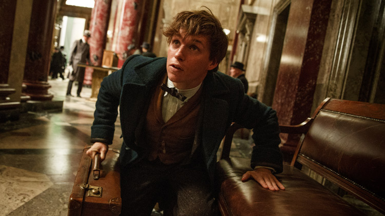 Fantastic Beasts and Where to Find Them