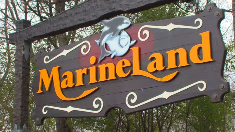 Marineland registers to lobby Ontario government in hopes of selling