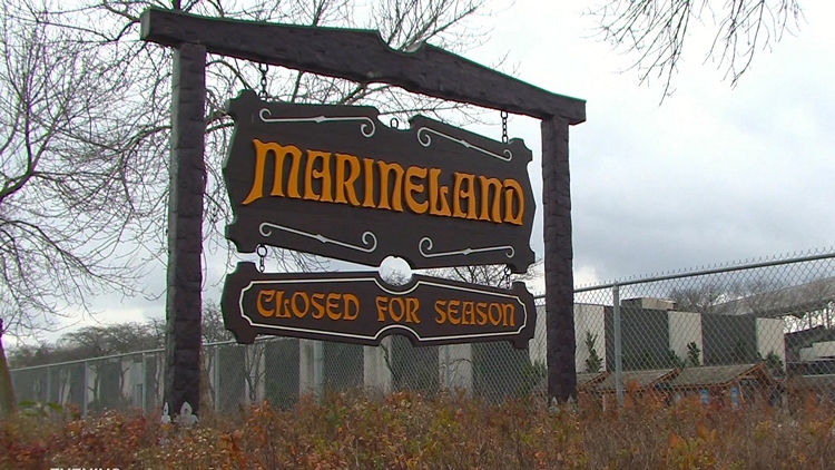 Marineland did not provide adequate water source to bear cubs, Ontario alleges