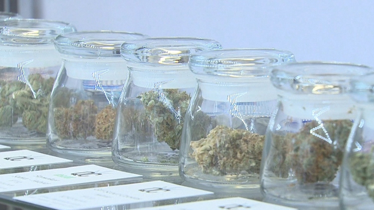 Liberal government task force discussing logistics of legal marijuana