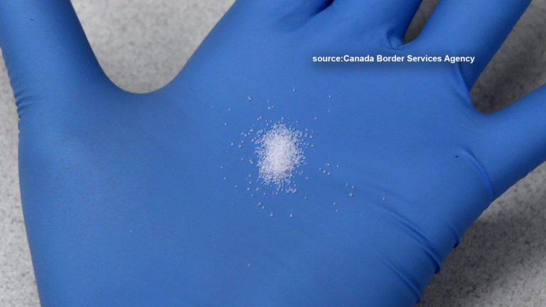 Deadly carfentanil seized in Hamilton