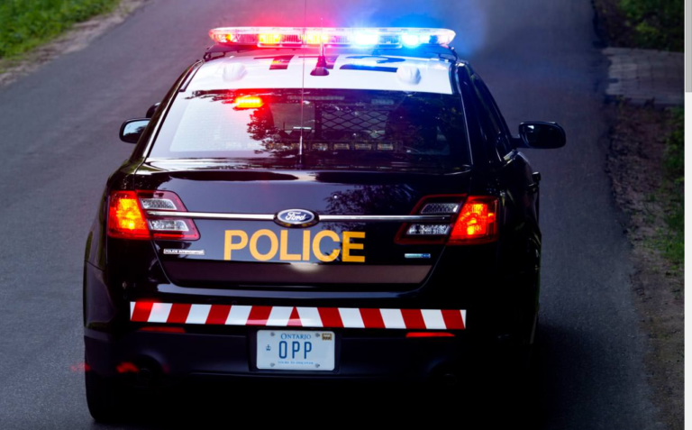 OPP lay hundreds of charges in safe trucking blitz