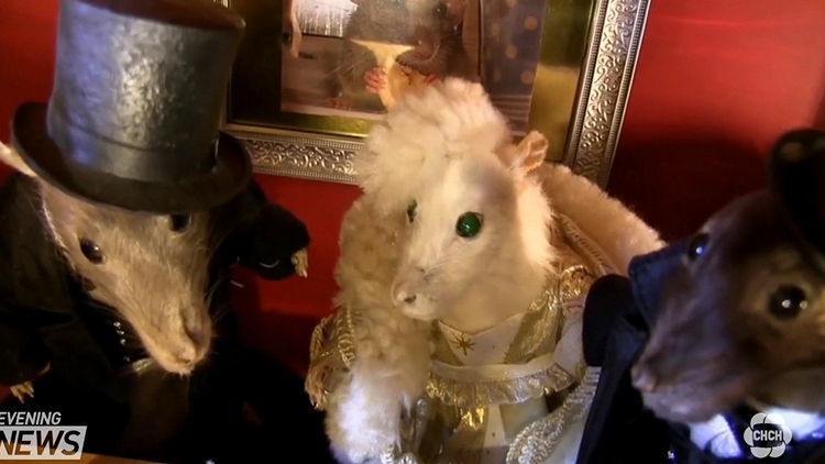 Local artist uses stuffed rats to recreate ‘Downton Abbey’ scenes