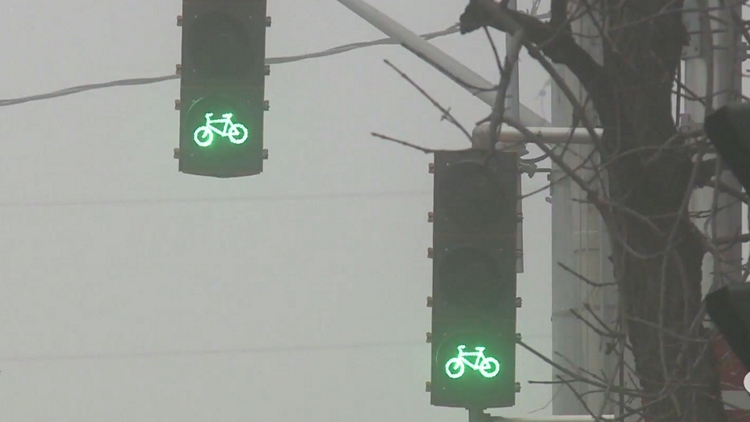 Bike traffic lights rolled out throughout Hamilton