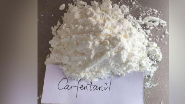 Suspected carfentanil seized in St. Catharines