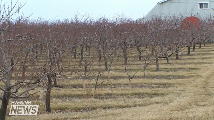 Warm weather impact on farms