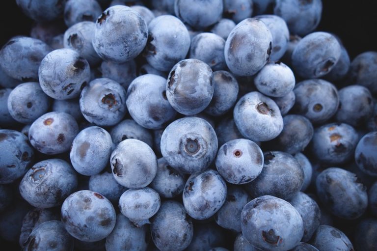 $100 000 worth of blueberries stolen