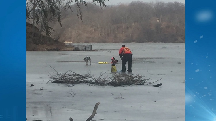 Dog rescued after falling through ice at Princess Point