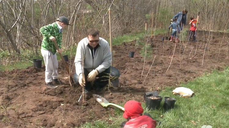 Burlington’s first tree planting of the year